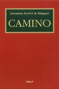 camino.jpg